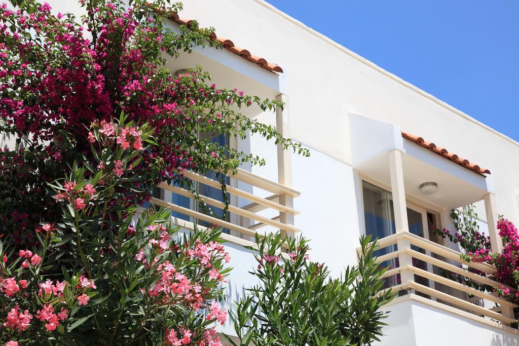 Delfi Hotel Spa & Wellness Center Bodrum Exteriér fotografie